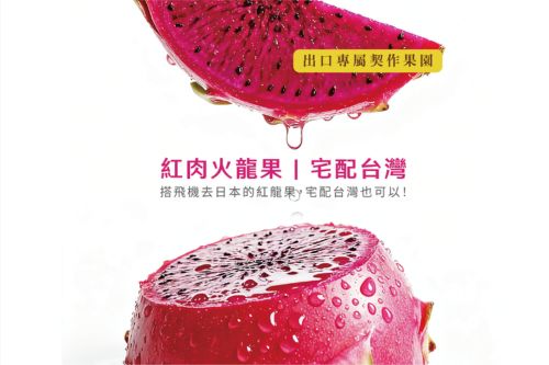 紅肉火龍果禮盒